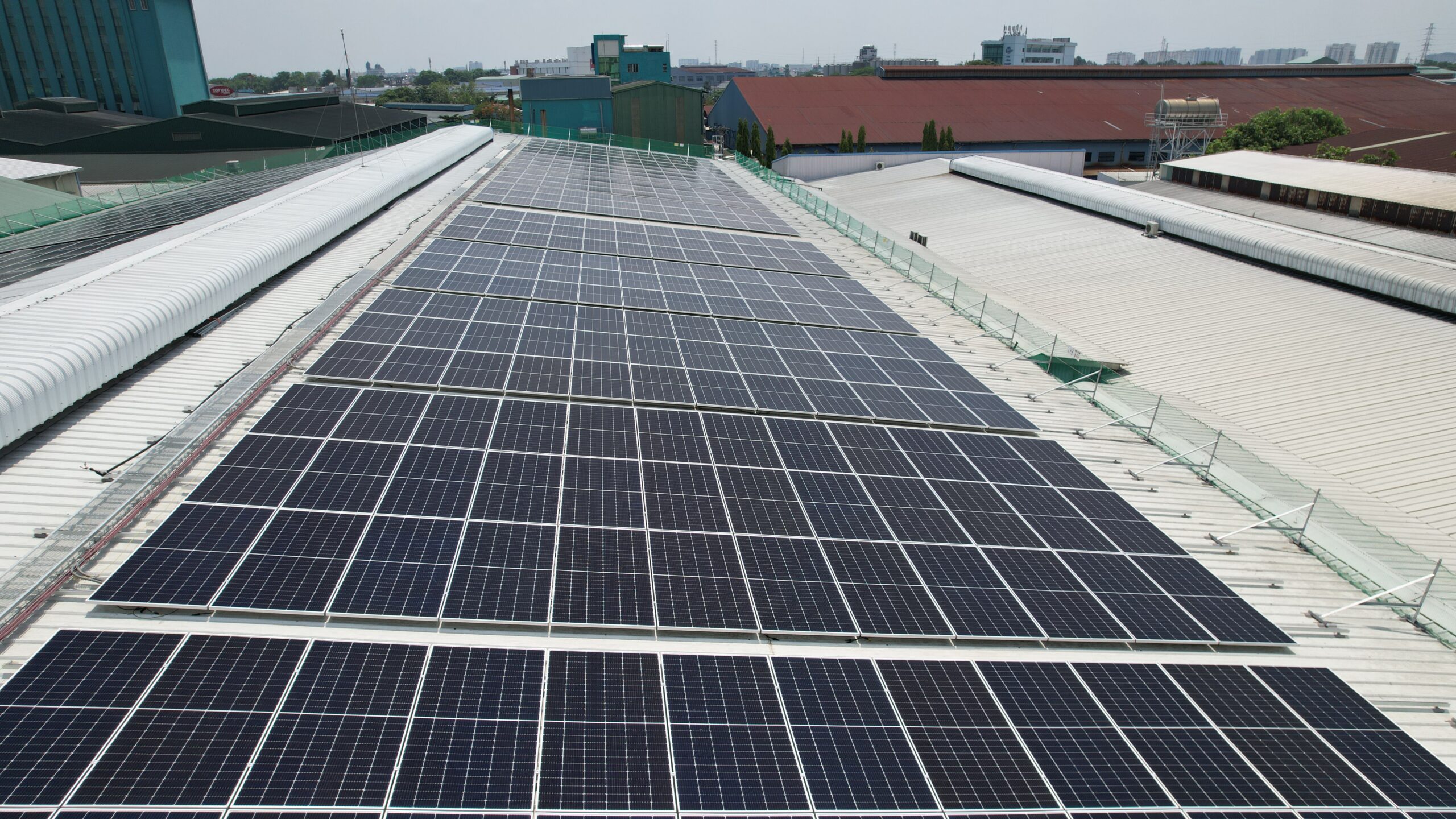 Nhà máy Tân Quang Minh