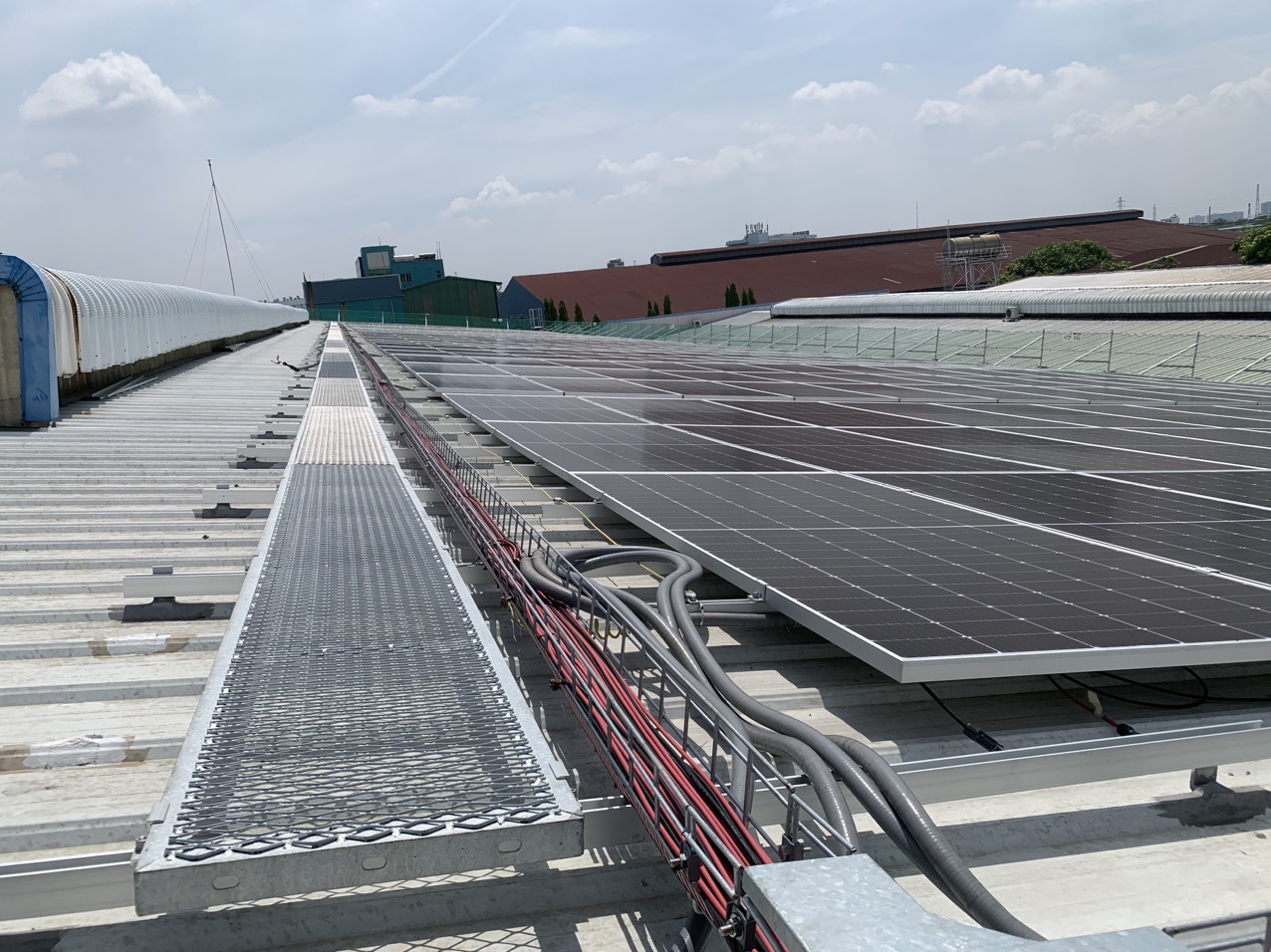 Nhà máy Tân Quang Minh